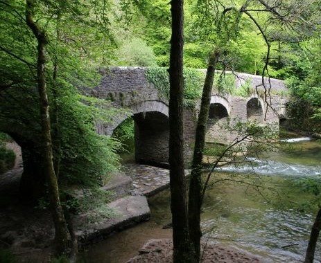 Plym Bridge Photo